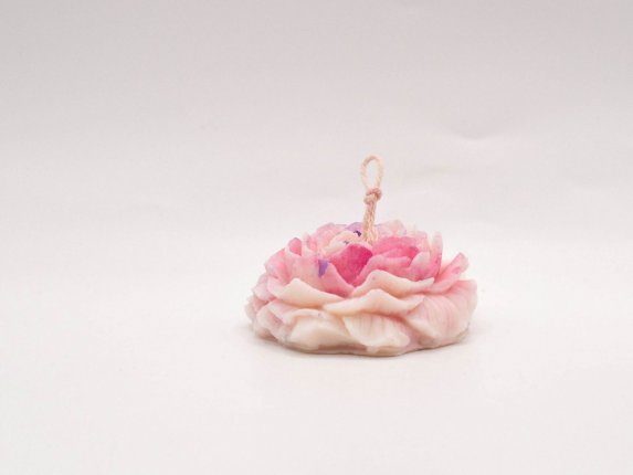 Les pivoines bougies